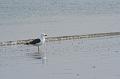 04DP-2008-013 Bild003